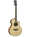 Yamaha APX500 III